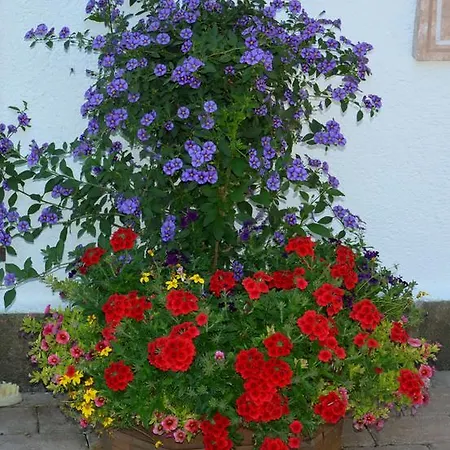 Apartman Gaestehaus Friedl *