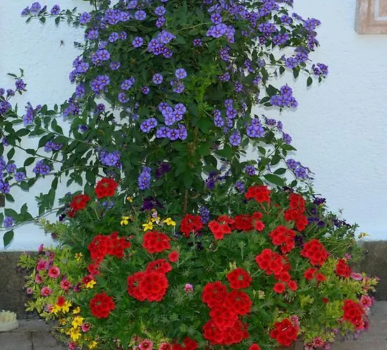 Apartman Gaestehaus Friedl *